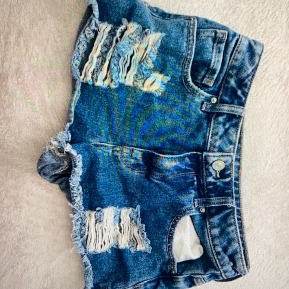 Pacsun High Rise Festival shorts